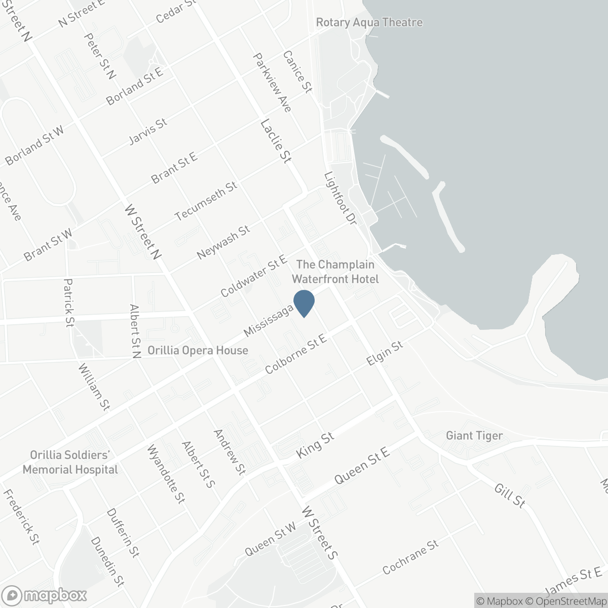 305 - 21 MATCHEDASH STREET, Orillia, Ontario L3V 3T1
